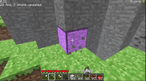 Indev 0.31 2010-01-11.png